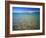 Pebbles in Bear Lake, Near Rendezvous Beach, Utah, USA-Scott T^ Smith-Framed Photographic Print