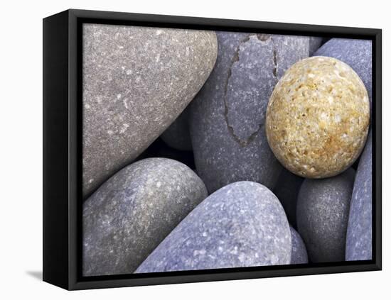 Pebbles in Sandymouth Beach, Cornwall, UK-Nadia Isakova-Framed Premier Image Canvas