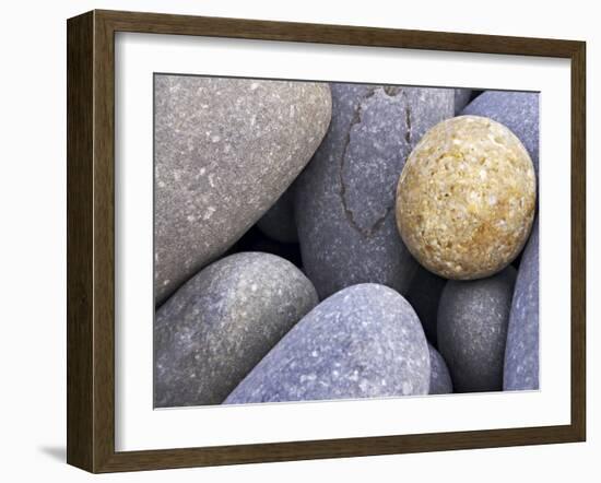 Pebbles in Sandymouth Beach, Cornwall, UK-Nadia Isakova-Framed Photographic Print