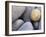 Pebbles in Sandymouth Beach, Cornwall, UK-Nadia Isakova-Framed Photographic Print