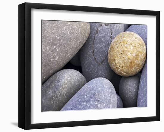 Pebbles in Sandymouth Beach, Cornwall, UK-Nadia Isakova-Framed Photographic Print