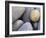 Pebbles in Sandymouth Beach, Cornwall, UK-Nadia Isakova-Framed Photographic Print