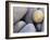 Pebbles in Sandymouth Beach, Cornwall, UK-Nadia Isakova-Framed Photographic Print