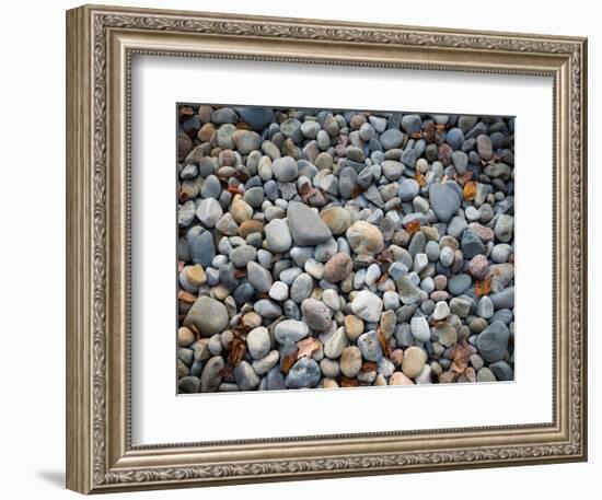 Pebbles, Little Hunters Beach-Michael Hudson-Framed Art Print