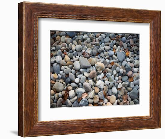 Pebbles, Little Hunters Beach-Michael Hudson-Framed Art Print