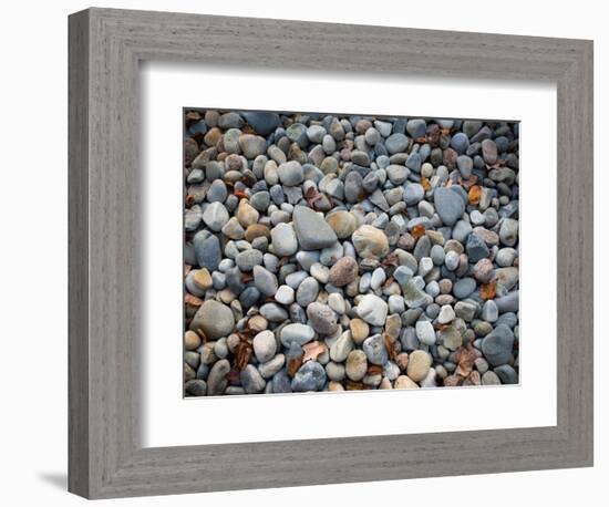 Pebbles, Little Hunters Beach-Michael Hudson-Framed Art Print