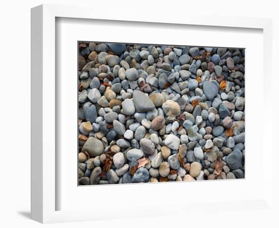 Pebbles, Little Hunters Beach-Michael Hudson-Framed Art Print