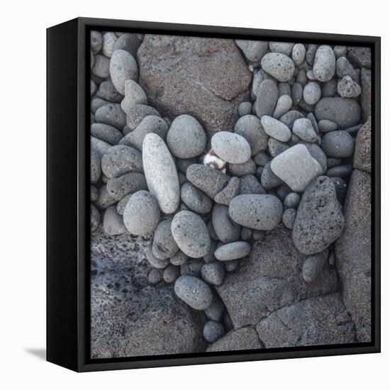 Pebbles on Miloli'i Beach, Big Island, Hawaii-Maresa Pryor-Framed Premier Image Canvas