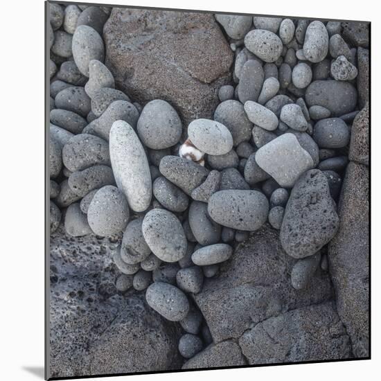 Pebbles on Miloli'i Beach, Big Island, Hawaii-Maresa Pryor-Mounted Photographic Print