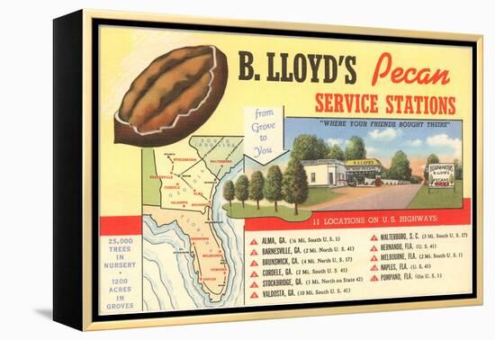 Pecan Service Stations-null-Framed Stretched Canvas