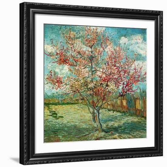Pêcher en fleurs (Souvenir de Mauve) (Détail)-Vincent van Gogh-Framed Art Print