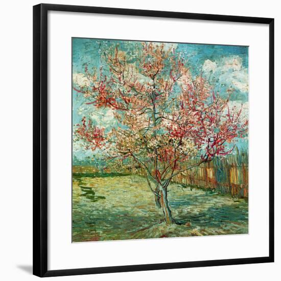 Pêcher en fleurs (Souvenir de Mauve) (Détail)-Vincent van Gogh-Framed Art Print