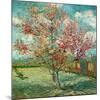 Pêcher en fleurs (Souvenir de Mauve) (Détail)-Vincent van Gogh-Mounted Art Print