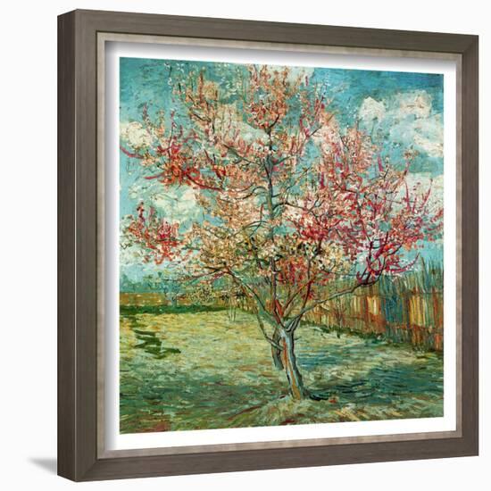 Pecher En Fleurs Souvenir De Mauve Framed Art Print Vincent