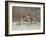 Pêches-Pierre-Auguste Renoir-Framed Giclee Print