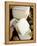 Pecorino Cheese, Tuscany, Italy, Europe-Nico Tondini-Framed Premier Image Canvas