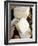 Pecorino Cheese, Tuscany, Italy, Europe-Nico Tondini-Framed Photographic Print