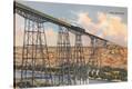 Stretched Canvas Print