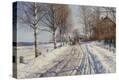 Stretched Canvas Print
