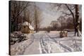 Stretched Canvas Print