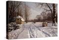 Stretched Canvas Print
