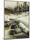 Giclee Print