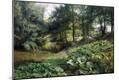 Giclee Print