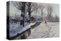 Stretched Canvas Print