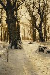 A Wooded Winter Landscape with Deer-Peder Mork Monsted-Giclee Print