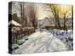 Stretched Canvas Print