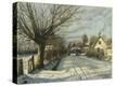 Stretched Canvas Print