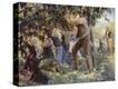 Stretched Canvas Print