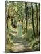 Premium Giclee Print