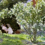 Roses, or the Artist's Wife in the Garden at Skagen, 1883-Peder Severin Kryer-Premier Image Canvas