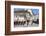 Pedestrian Area, Baden-Baden, Black Forest, Baden-Wurttemberg, Germany, Europe-Markus Lange-Framed Photographic Print