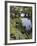 Pedestrian Bridge and Alzette River-Franz-Marc Frei-Framed Photographic Print