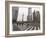 Pedestrian Crossing in Pudong, the Financial and Business Centre. Oriental Pearl Tower in Centre, S-Amanda Hall-Framed Photographic Print