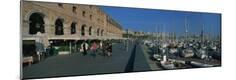 Photographic Print