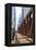 Pedestrians Crossing a Bridge over the Chicago River, Chicago, Illinois, United States of America-Amanda Hall-Framed Premier Image Canvas