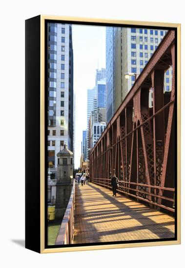 Pedestrians Crossing a Bridge over the Chicago River, Chicago, Illinois, United States of America-Amanda Hall-Framed Premier Image Canvas