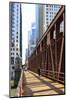 Pedestrians Crossing a Bridge over the Chicago River, Chicago, Illinois, United States of America-Amanda Hall-Mounted Photographic Print