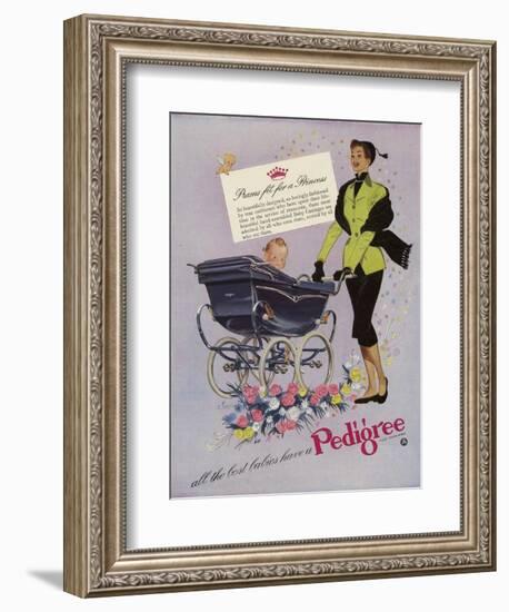 Pedigree, Magazine Advertisement, UK, 1952-null-Framed Giclee Print