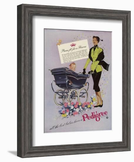 Pedigree, Magazine Advertisement, UK, 1952-null-Framed Giclee Print