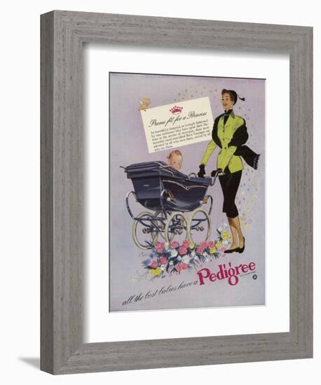 Pedigree, Magazine Advertisement, UK, 1952-null-Framed Giclee Print