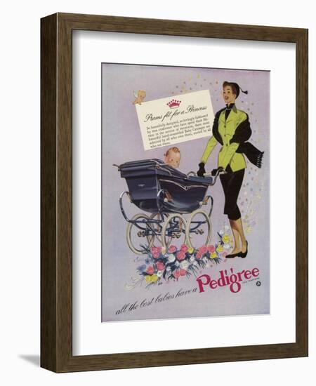 Pedigree, Magazine Advertisement, UK, 1952-null-Framed Giclee Print