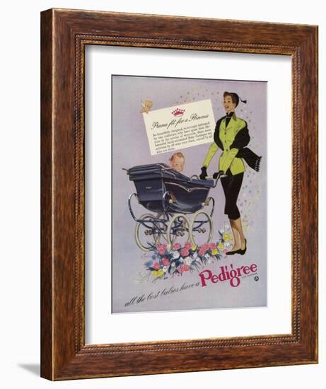 Pedigree, Magazine Advertisement, UK, 1952-null-Framed Giclee Print