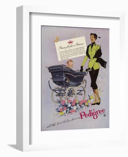 Pedigree, Magazine Advertisement, UK, 1952-null-Framed Giclee Print