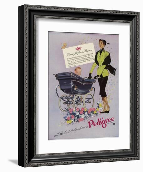 Pedigree, Magazine Advertisement, UK, 1952-null-Framed Giclee Print