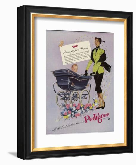 Pedigree, Magazine Advertisement, UK, 1952-null-Framed Giclee Print