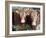 Pedigree South Devon Cattle, Devon, England, United Kingdom, Europe-David Lomax-Framed Photographic Print